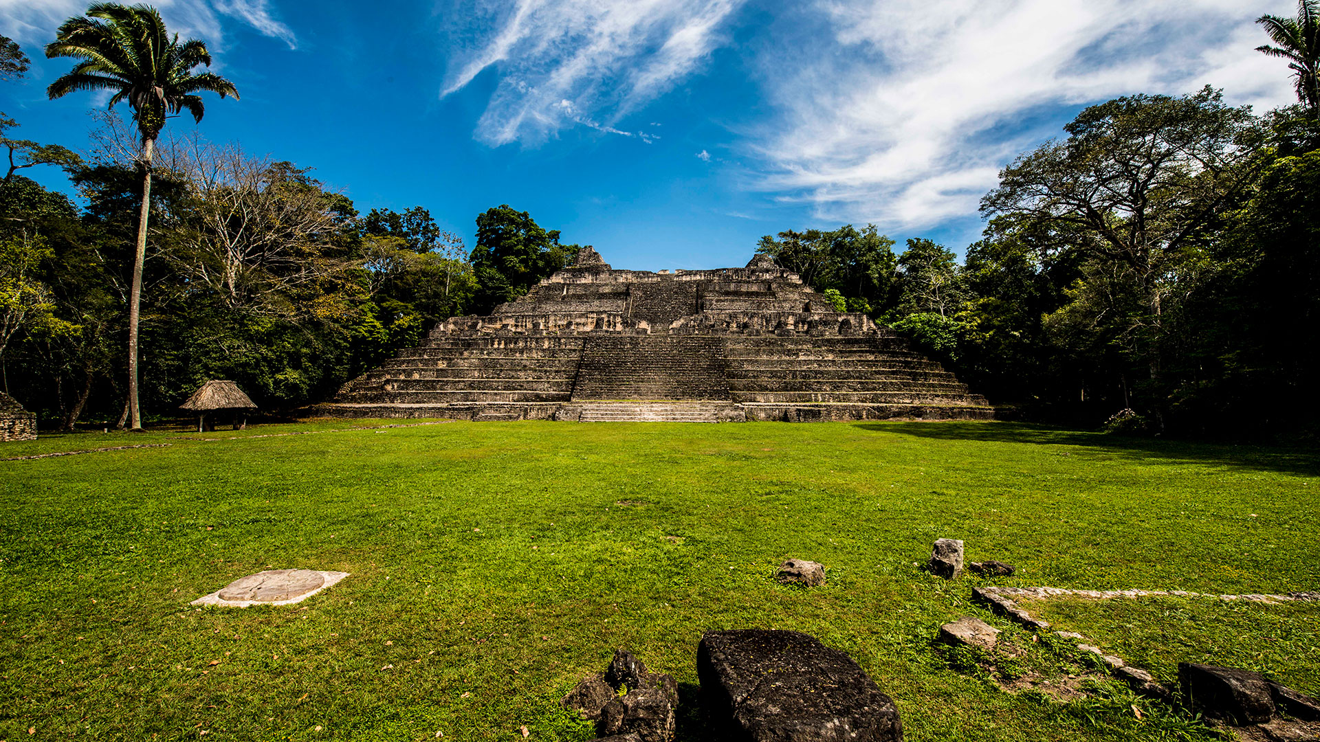 Maya Trails