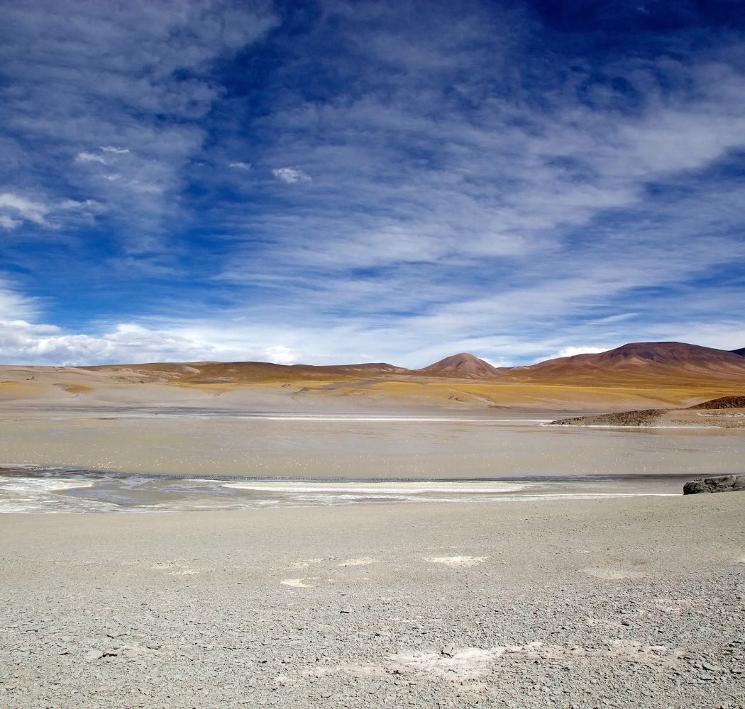Puna do Atacama
