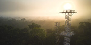 Canopy Tower - Posada Amazonas - Rainforest Expeditions