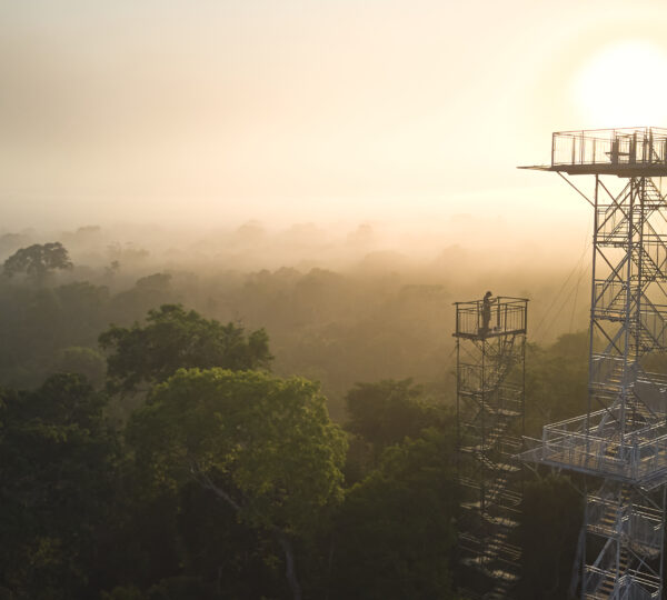 Canopy Tower - Posada Amazonas - Rainforest Expeditions