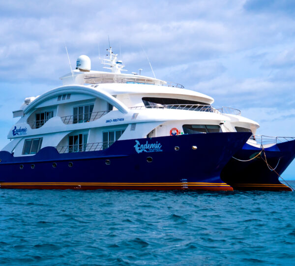 Endemic Luxury Cruise -Golden Galapagos Ecuador
