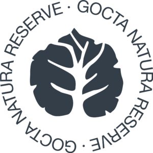 Gocta Logo