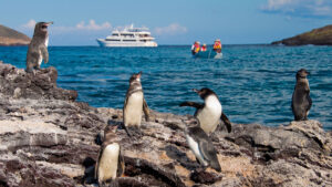 LATIN TRAILS_Experiences in Galapagos