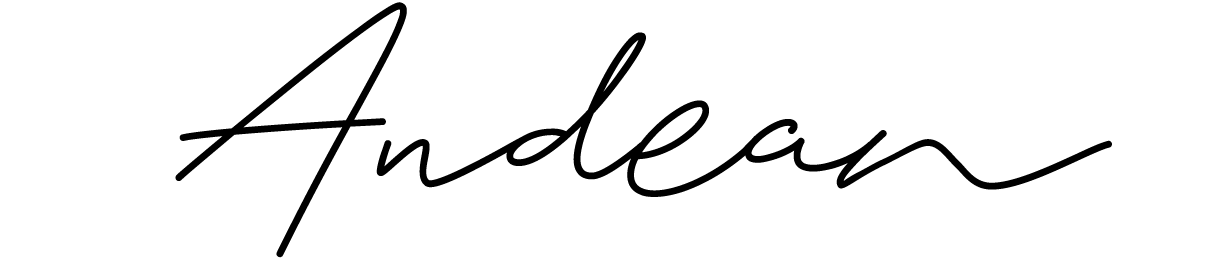 Logo Andean