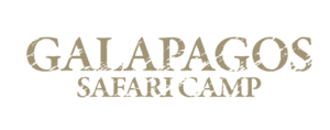 LOGO Galapagos Safari Camp