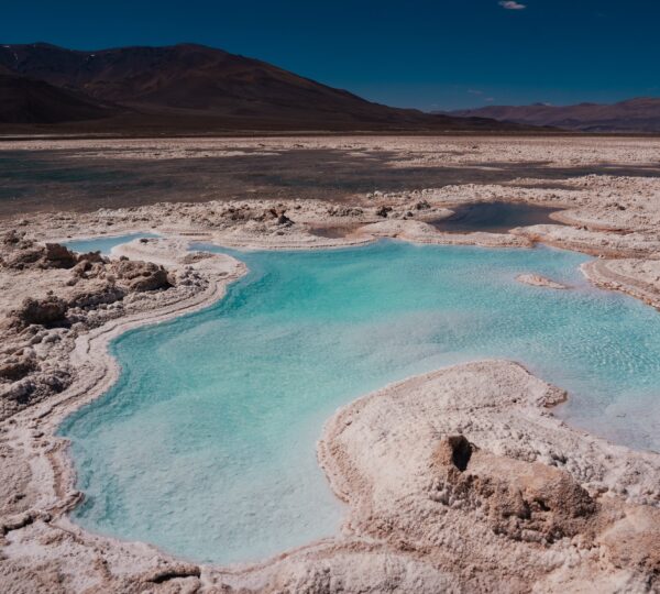 Salt Flat, Central Andes - Argentina
