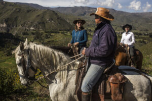 Tanit Trails - horseback riding experience