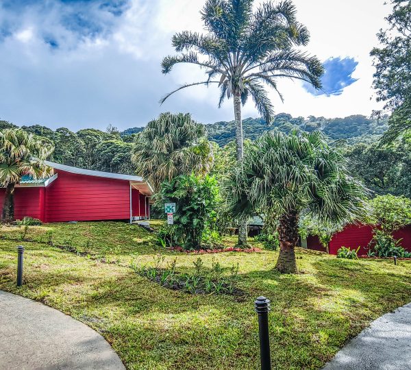 bungalows at Cloud Forest Lodge - Boena
