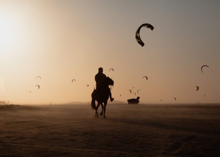 Casa e Vilas Siara - kite horse