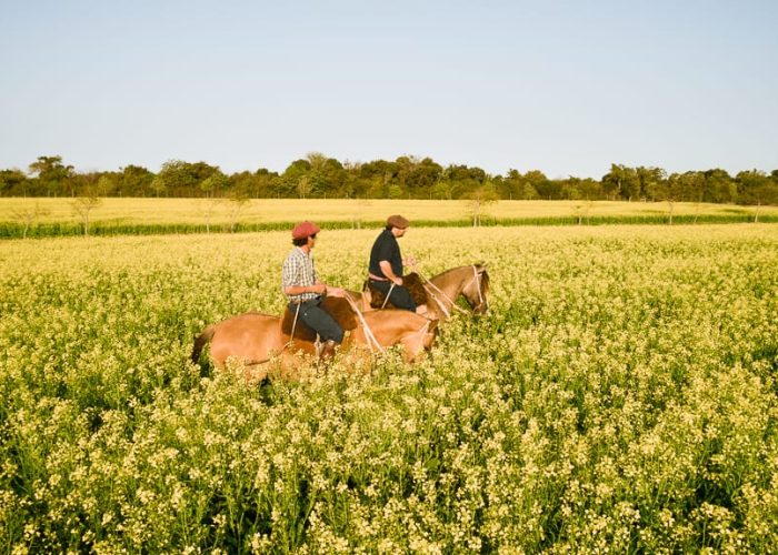 Horseback riding in Uruguay - Lares Tours