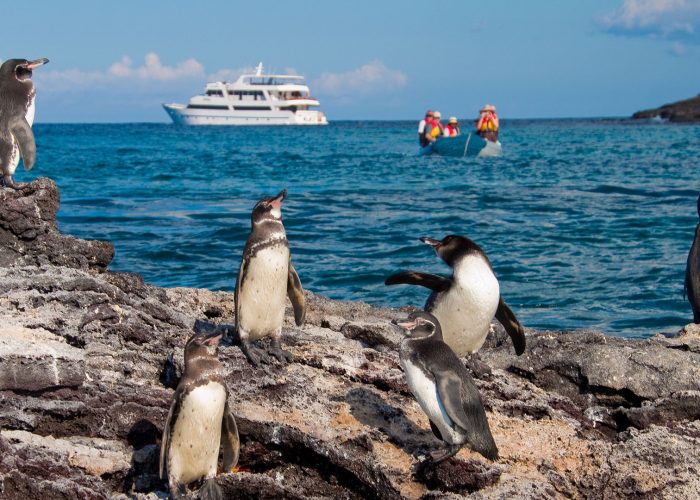 LATIN TRAILS_Experiences in Galapagos