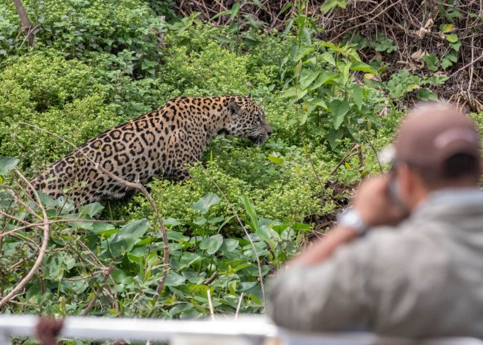 NPC-North-Pantanal-Cruise-Douglas-Simoes