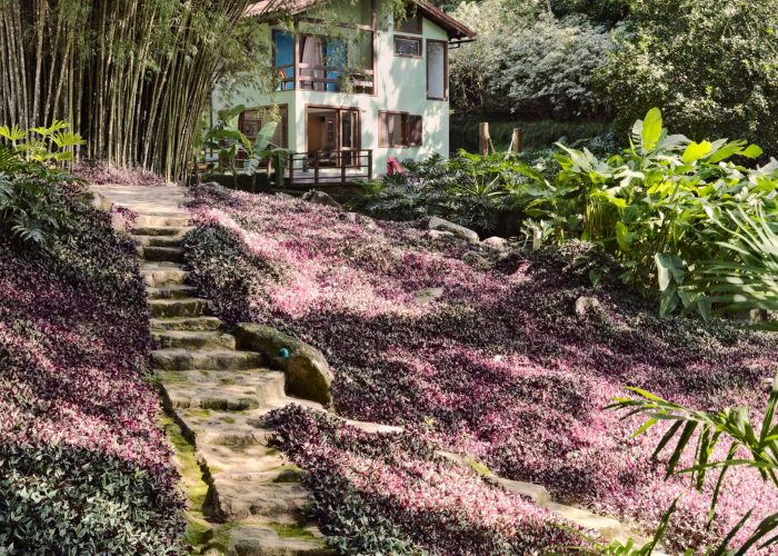 garden at ilha grande