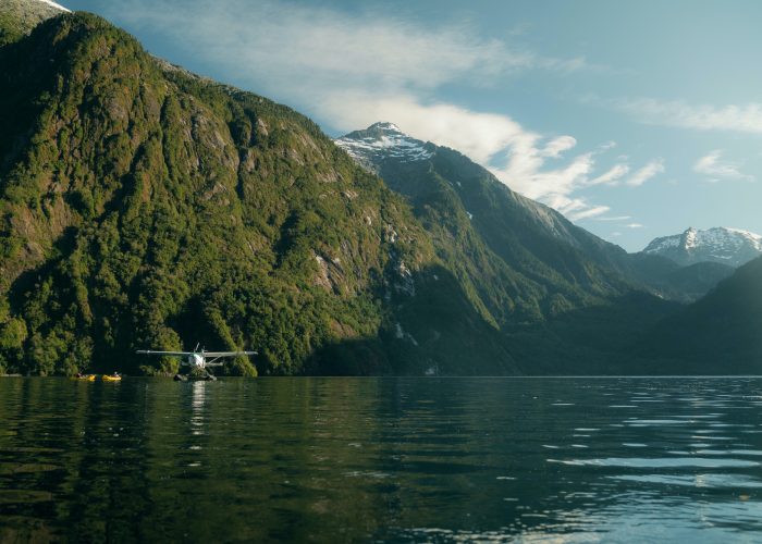 Tawa - Puelo, Northern Patagonia