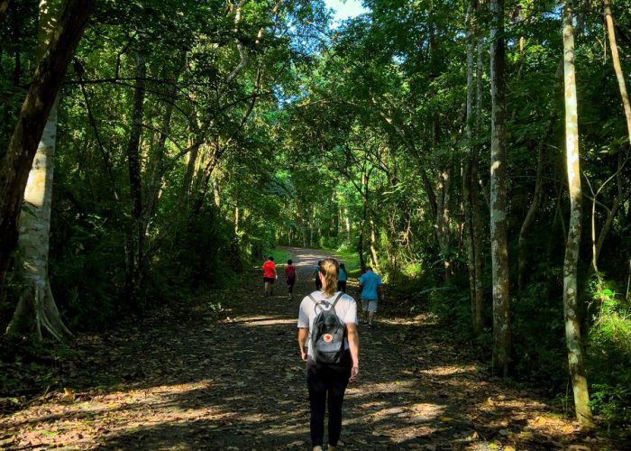 large-Parque-Natural-Metropolitano-Panama-City-Panama-province.-2