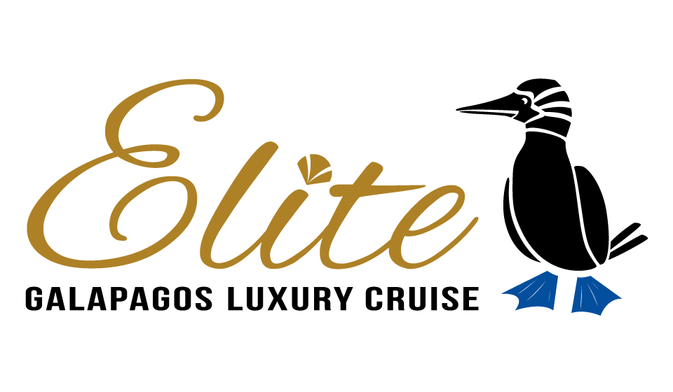 Logo-Elite-App-1