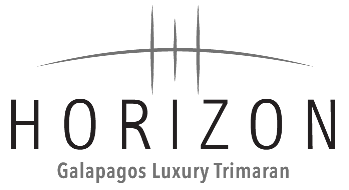 horizon-logo