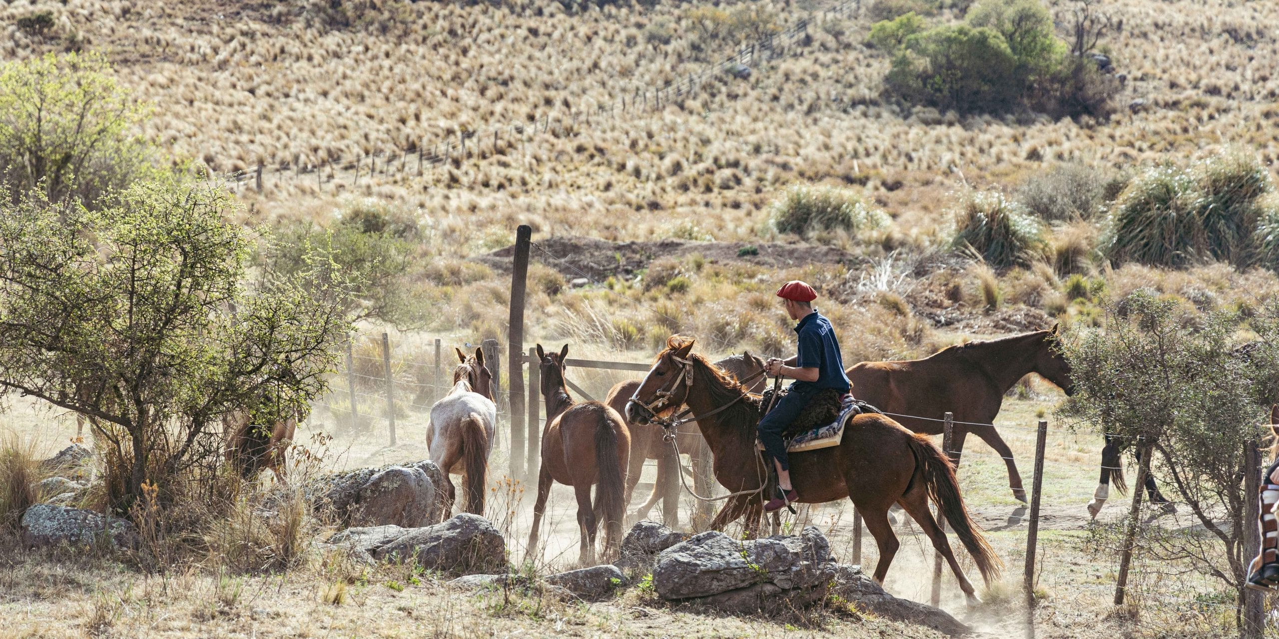 Estancia Los Potreros SA