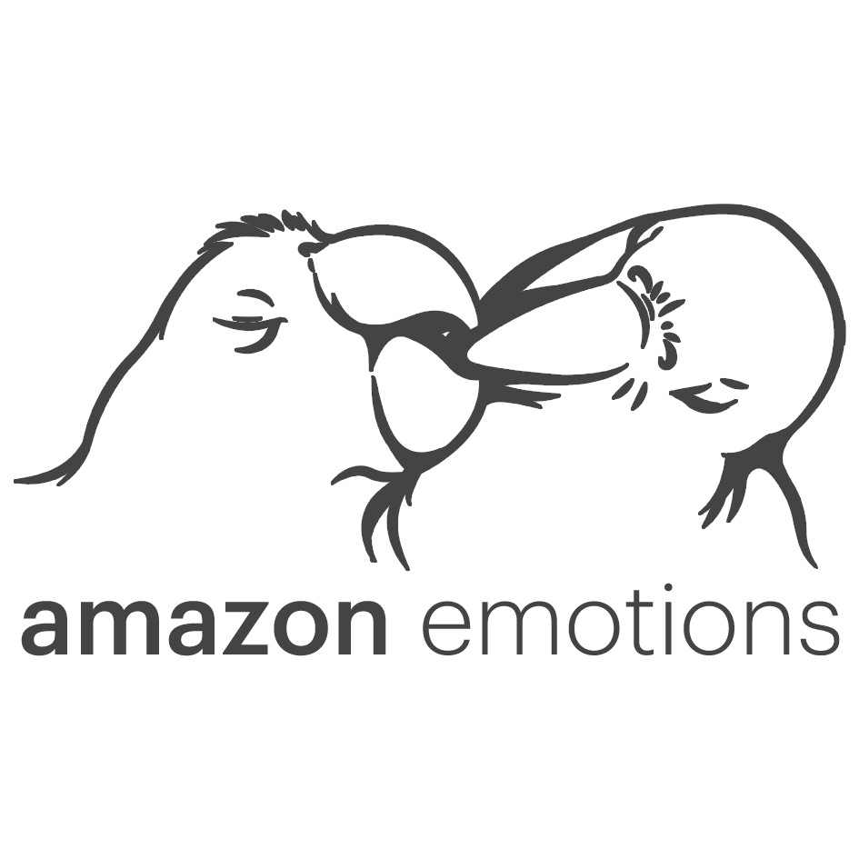 amazon-emotions-logo-inpi