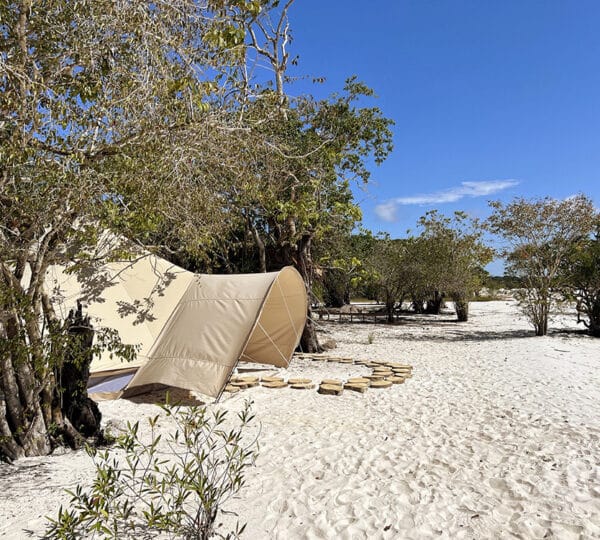 amazon-glamping-upper-rionegro-outside-tent-view