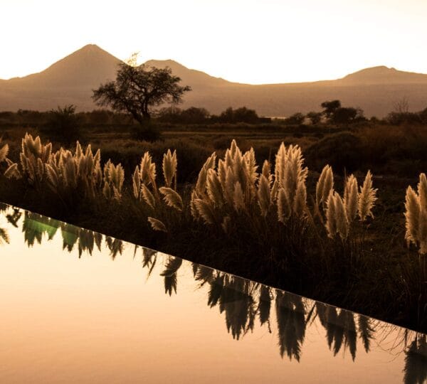 Tierra-Atacama-Pool-at-sunrise