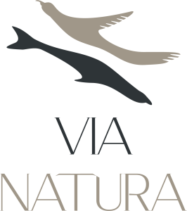 VIA_NATURA_LOGO_PNG-1