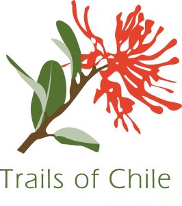 LOGOTIPO-TRAILS-2