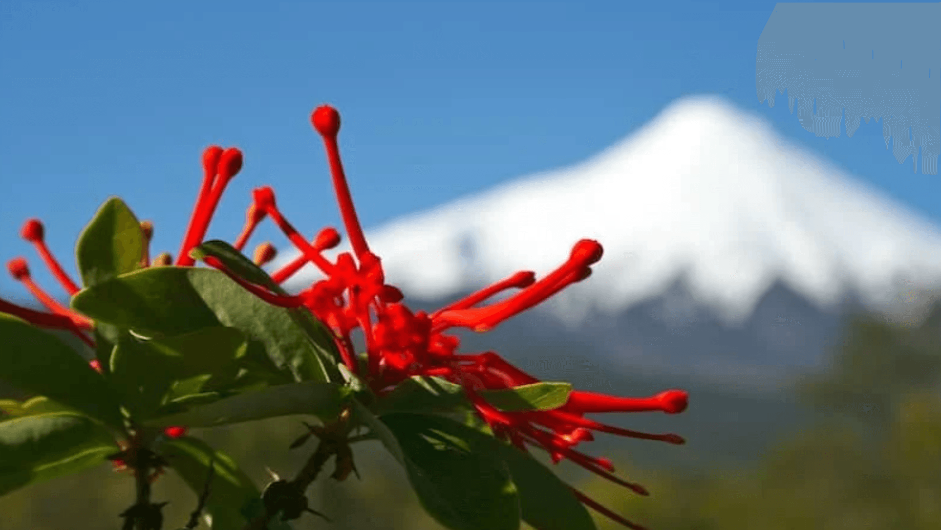 Trails of Chile
