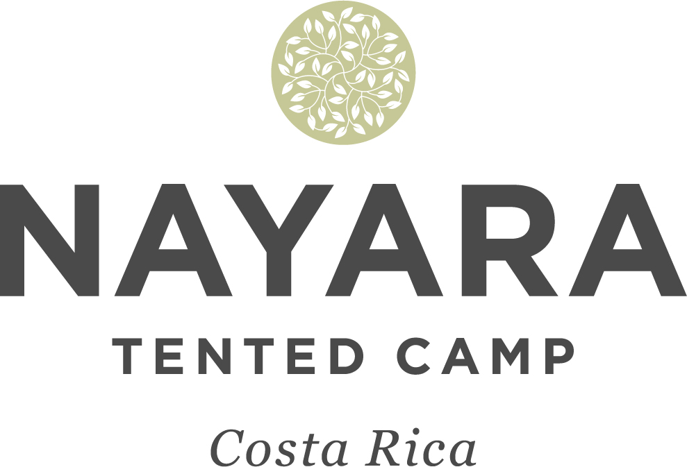 Nayara-Tented-Camp-Logo-Black-Colour